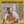Croix Valley Apricot Chipotle BBQ & Wing Sauce
